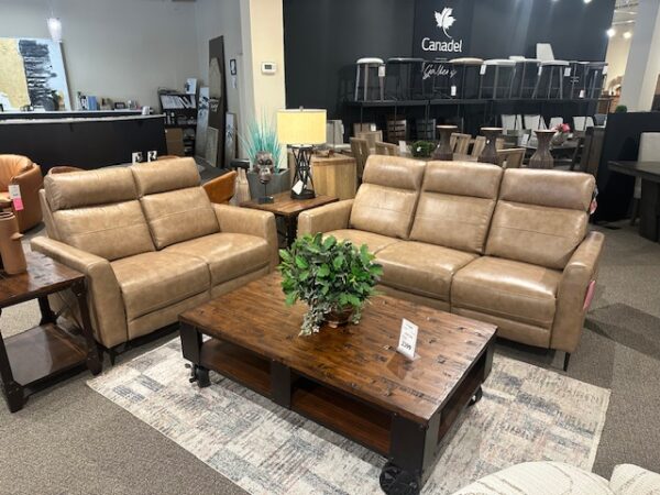 Violino Power Leather Reclining Sofa and Loveseat
